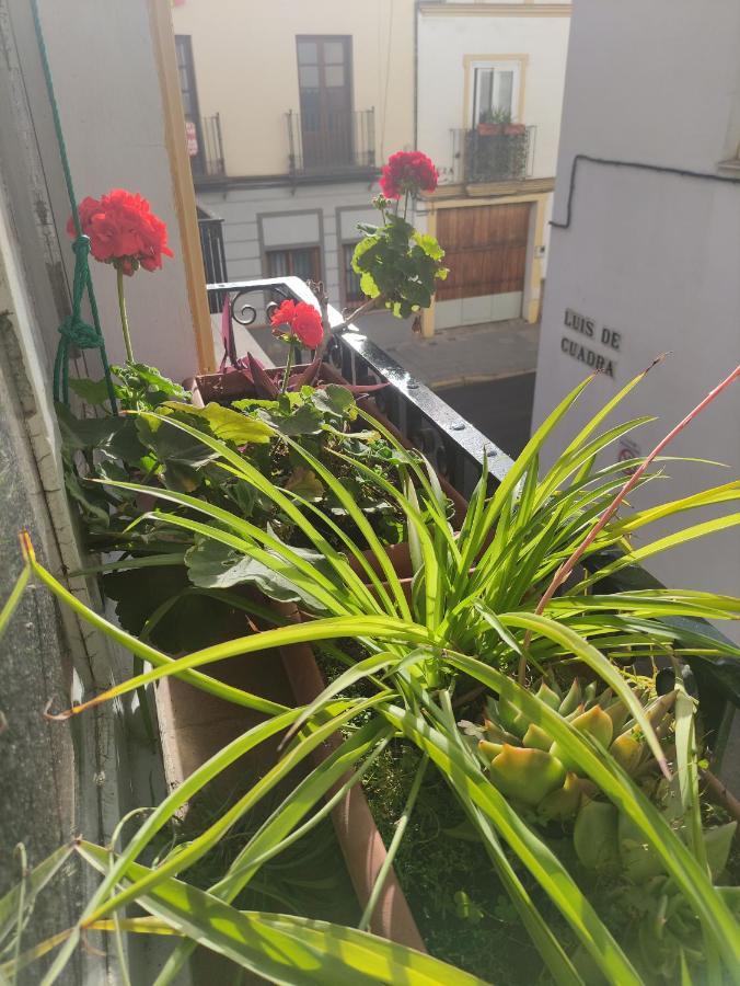 Vive Triana Apartamento Sevilha Exterior foto